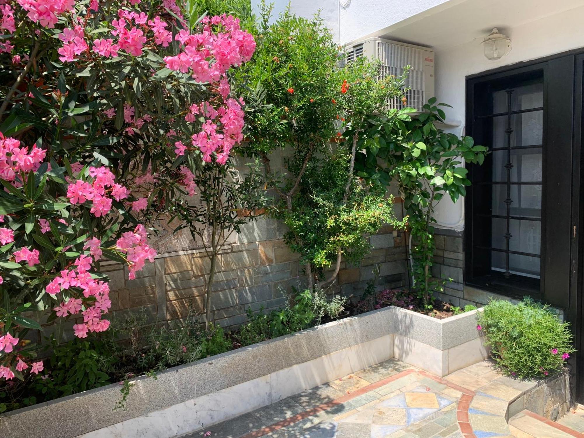 Gemütliches Appartement in Ano Poli Tesalónica Exterior foto